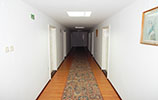 Motel Cernica