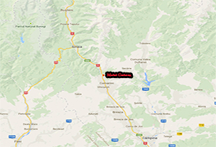 Harta Motel Cernica